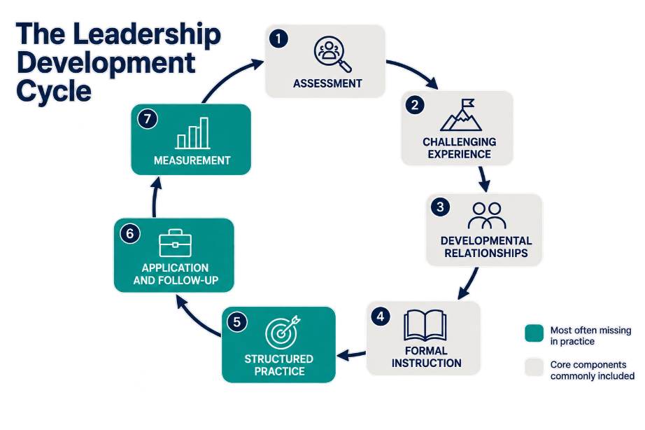 Cycle diagram of the seven components of a leadership development system, from assessment through to measurement and back.